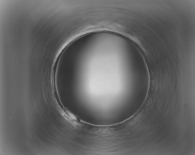 X0000057561516200509231146