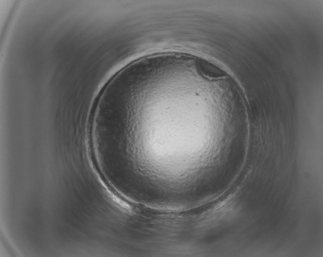 X0000057561525200509231146