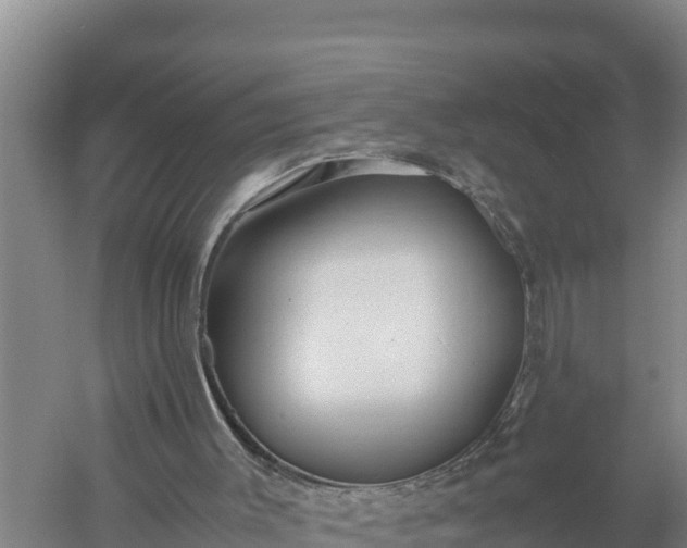 X0000057560003200509302057
