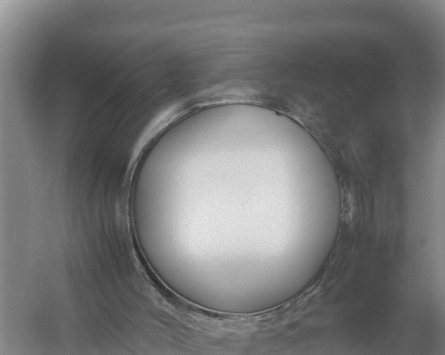 X0000057560004200509302057