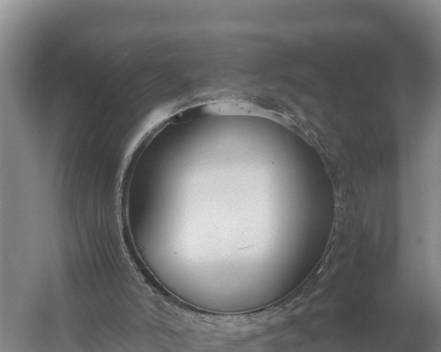 X0000057560006200509302057