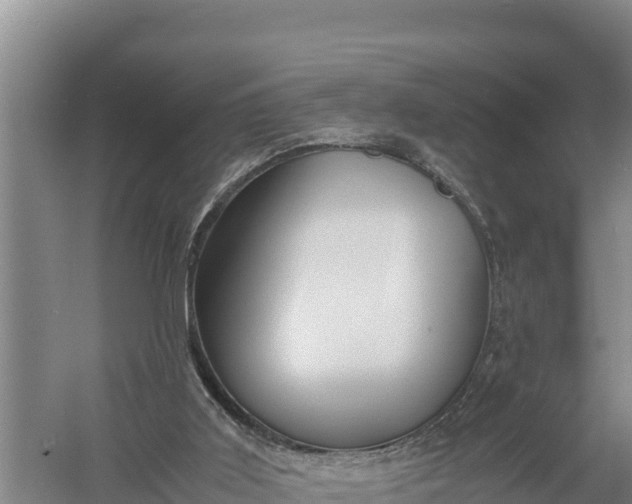 X0000057560011200509302057