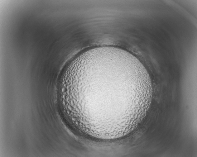 X0000057560012200509302057