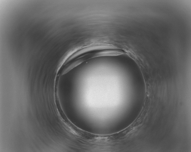 X0000057560052200509302055