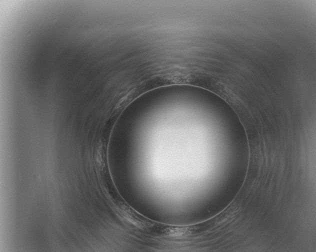 X0000057560088200509302056