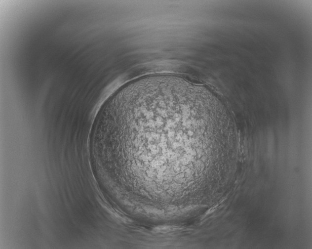 X0000057560099200509302055