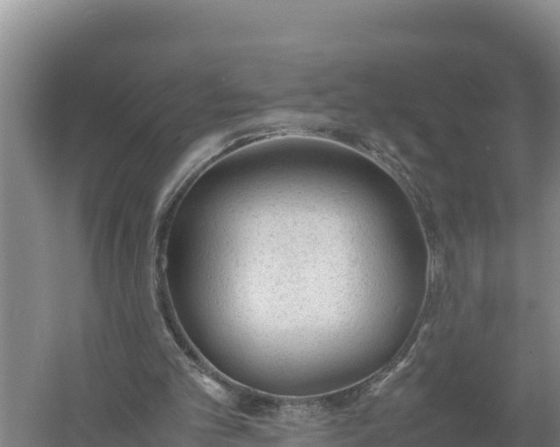 X0000057560101200509302055