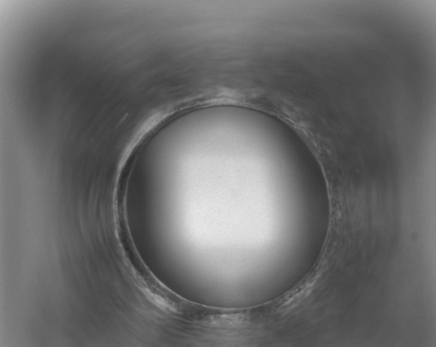 X0000057560102200509302055