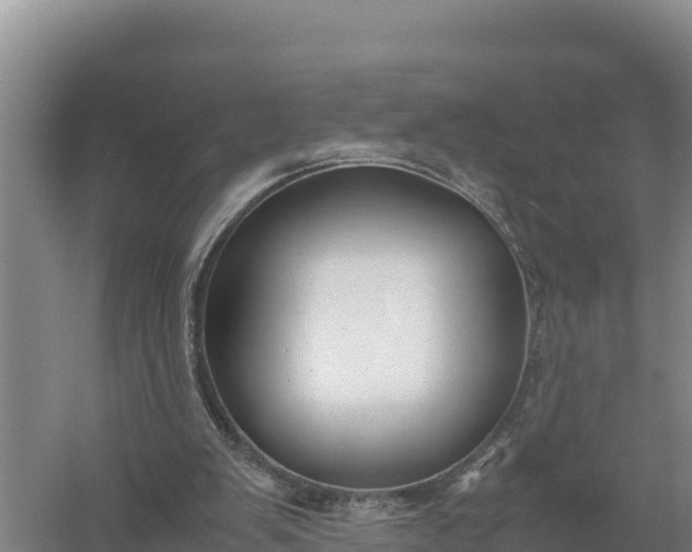 X0000057560103200509302055