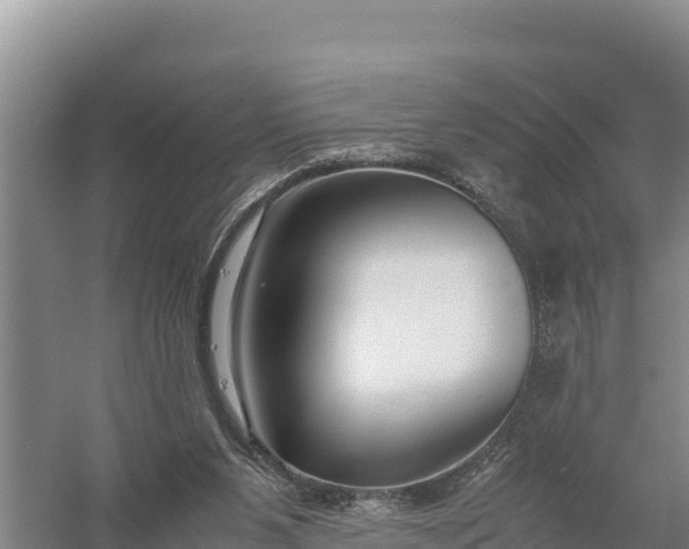 X0000057560111200509302055