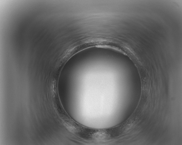 X0000057560119200509302055