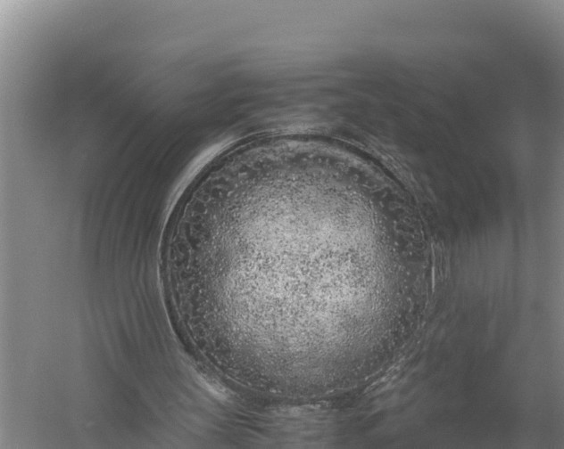 X0000057560147200509302054