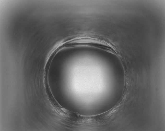 X0000057560152200509302054