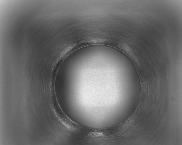 X0000057560159200509302054