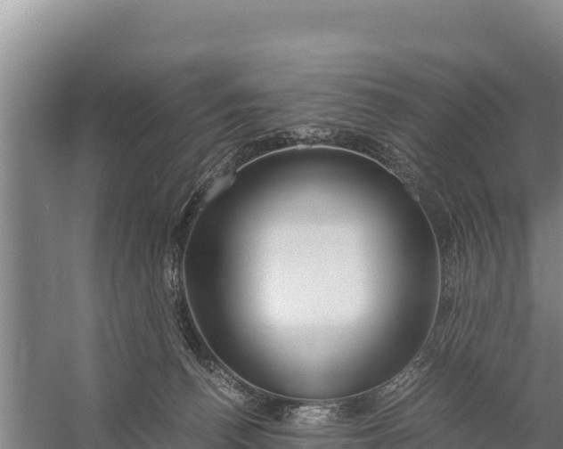 X0000057560176200509302054