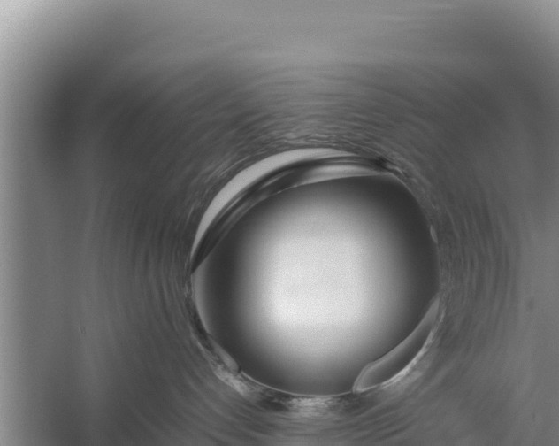 X0000057560192200509302054