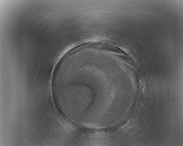 X0000057560196200509302054