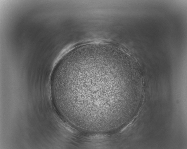 X0000057560198200509302054