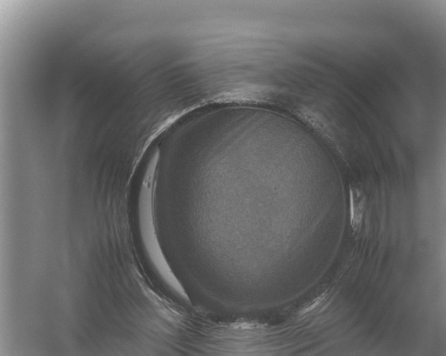 X0000057560204200509302053