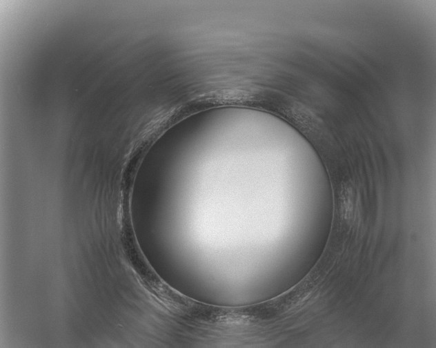 X0000057560206200509302053