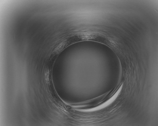 X0000057560219200509302053