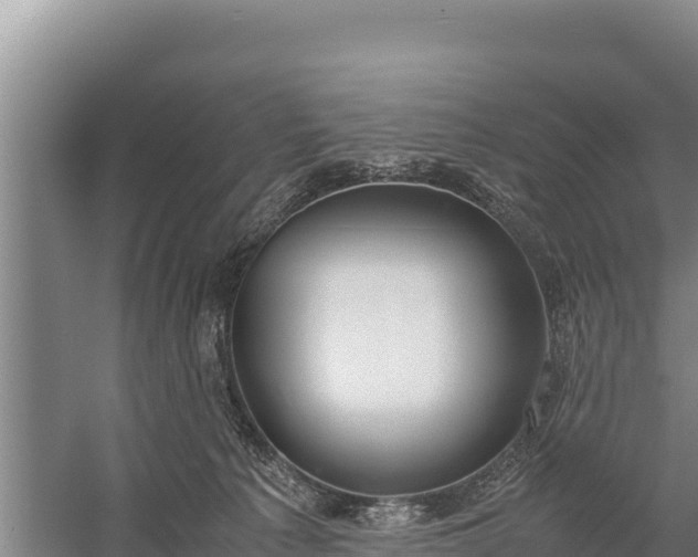 X0000057560225200509302053