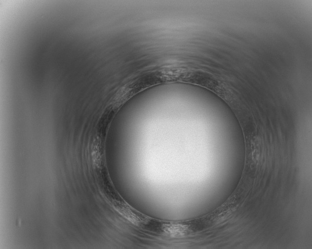 X0000057560226200509302053