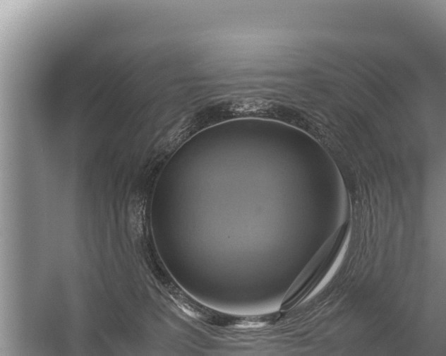X0000057560227200509302053