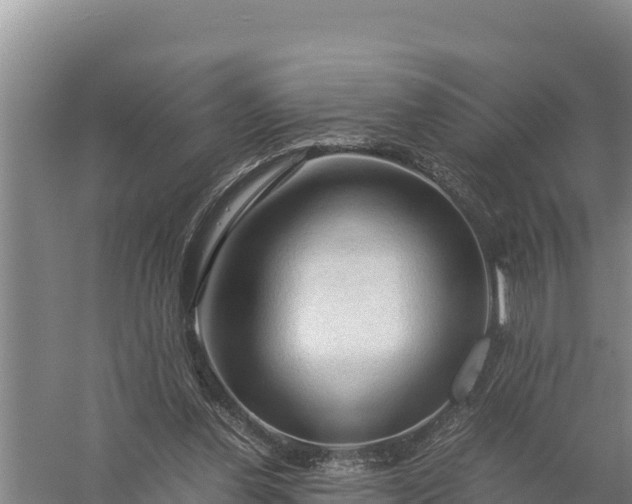 X0000057560252200509302052