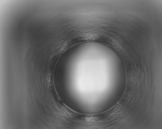 X0000057560268200509302053