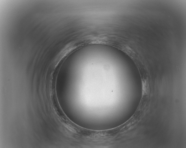 X0000057560291200509302052
