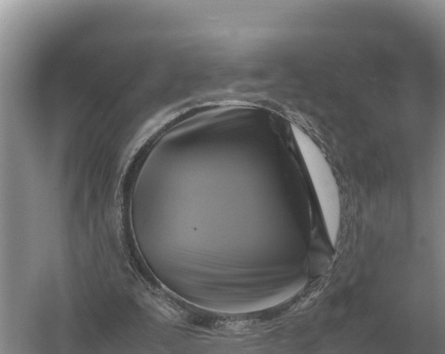 X0000057560295200509302052