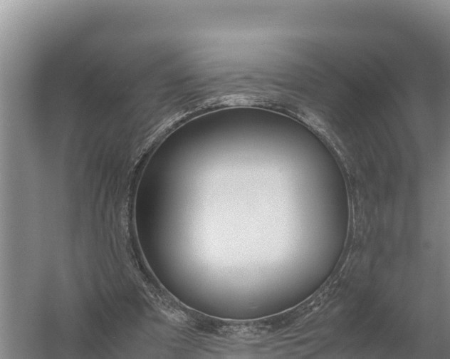 X0000057560297200509302052
