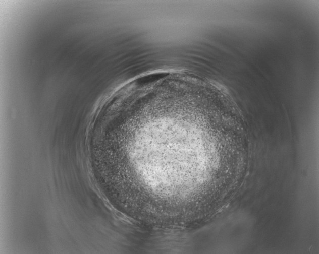 X0000057560337200509302050