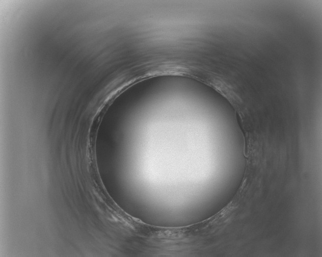 X0000057560338200509302050
