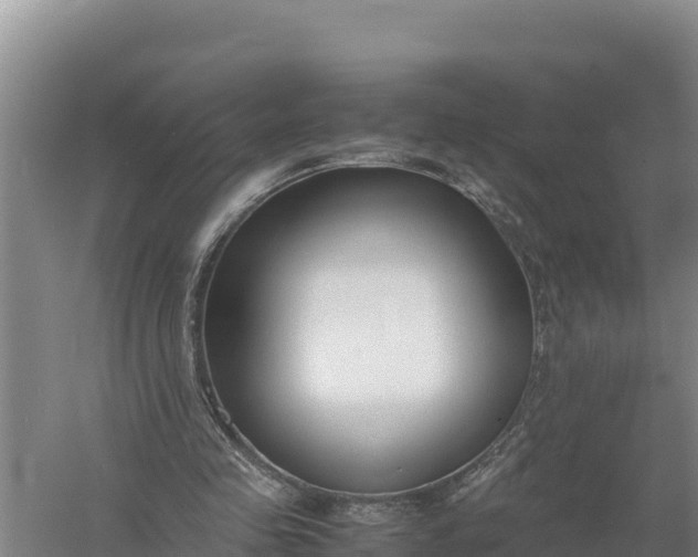 X0000057560341200509302051