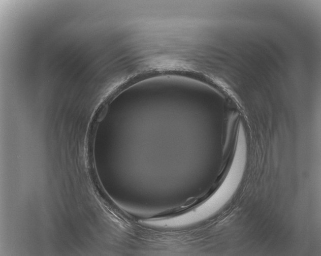 X0000057560391200509302050