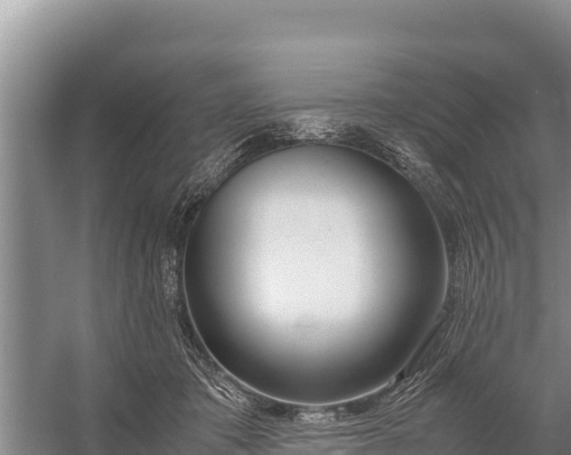 X0000057560413200509302050