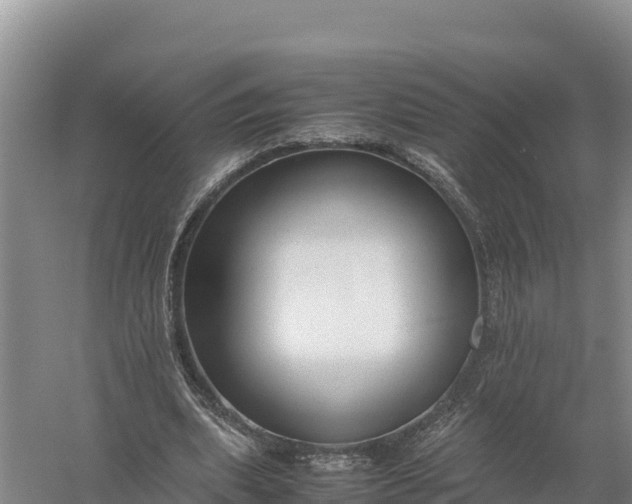 X0000057560439200509302049