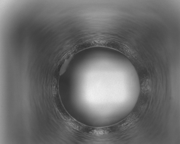 X0000057560464200509302049