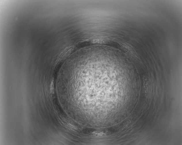X0000057560502200509302048