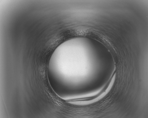 X0000057560505200509302048