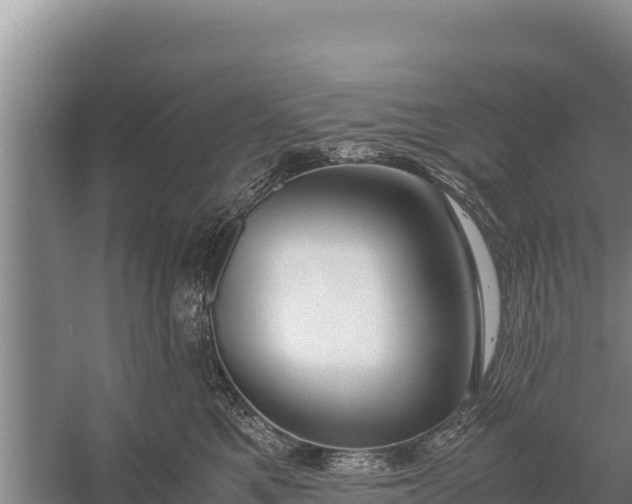 X0000057560521200509302048