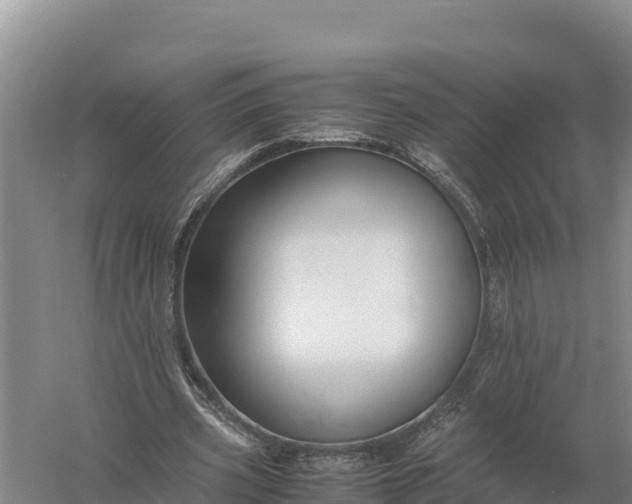 X0000057560533200509302047