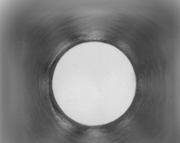 X0000057560534200509302047