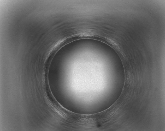 X0000057560535200509302047