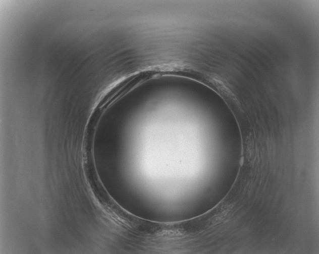 X0000057560536200509302047