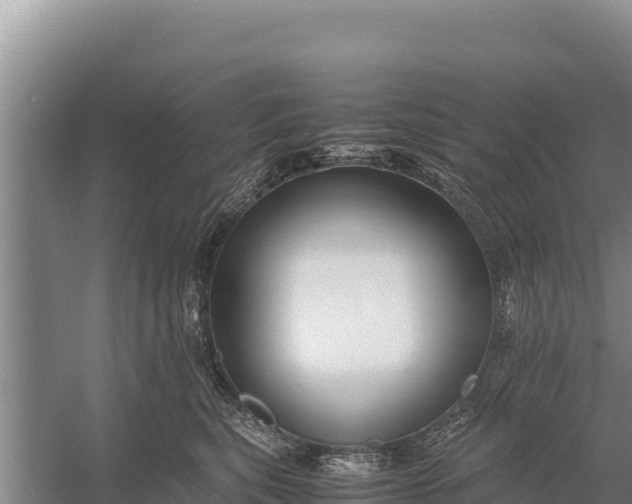 X0000057560567200509302048