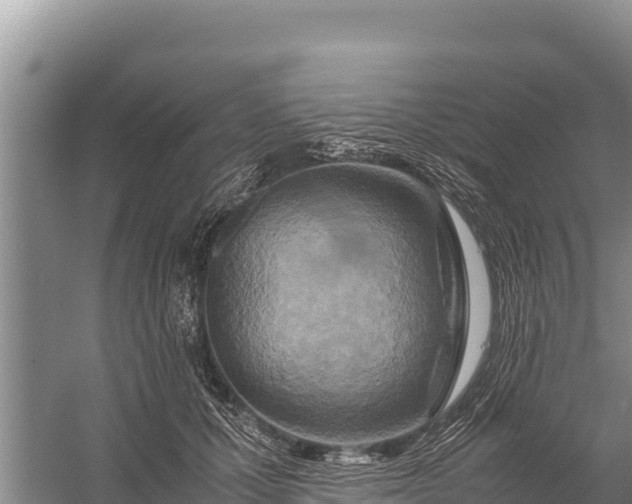 X0000057560607200509302047
