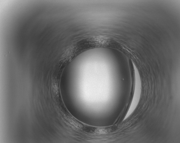 X0000057560613200509302047